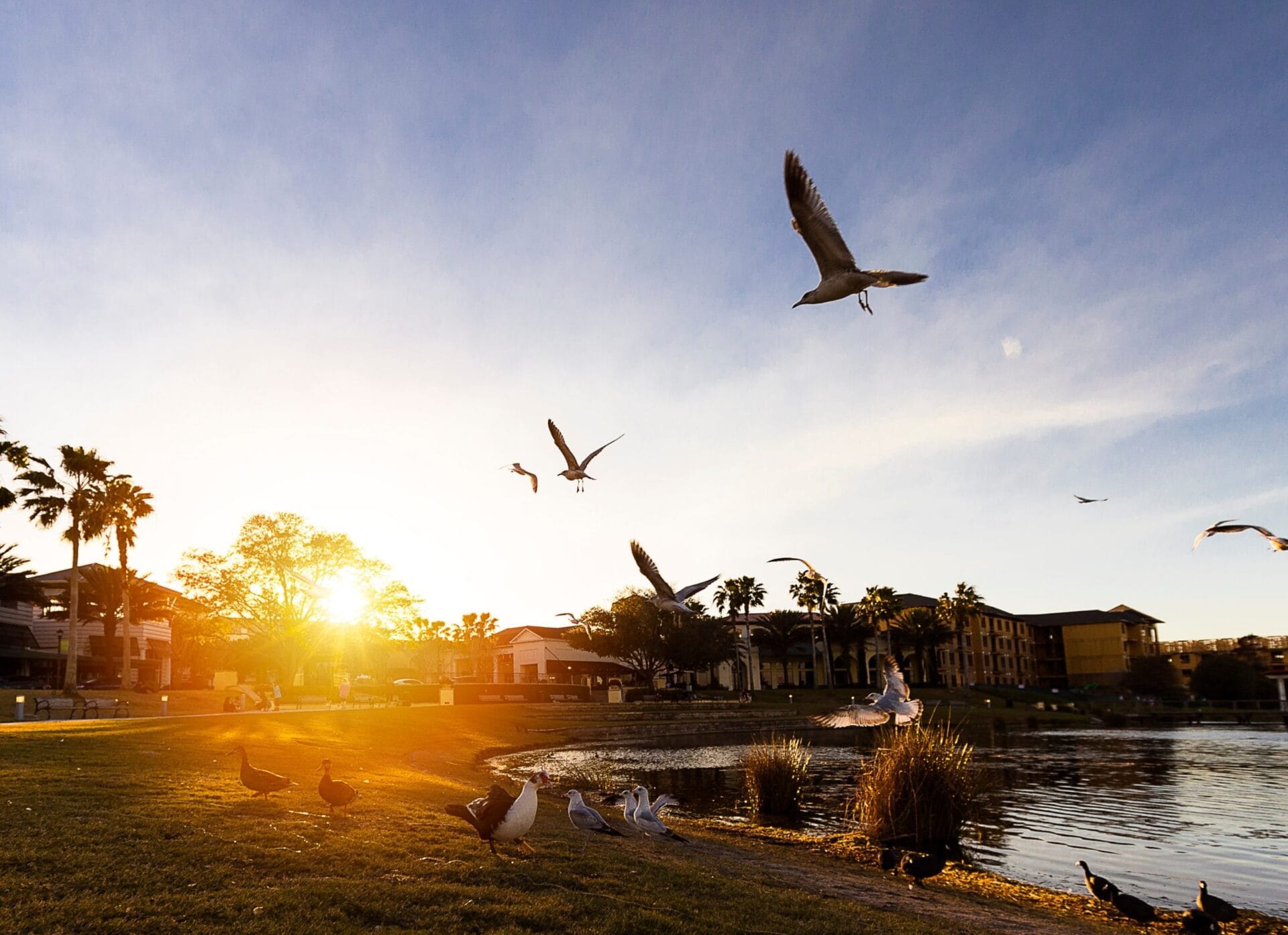 Casas a venda em Winter Park